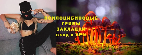 гидра Лагань