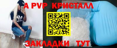 индика Гусь-Хрустальный