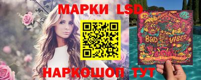 индика Гусь-Хрустальный