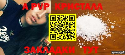 apvp Гусев