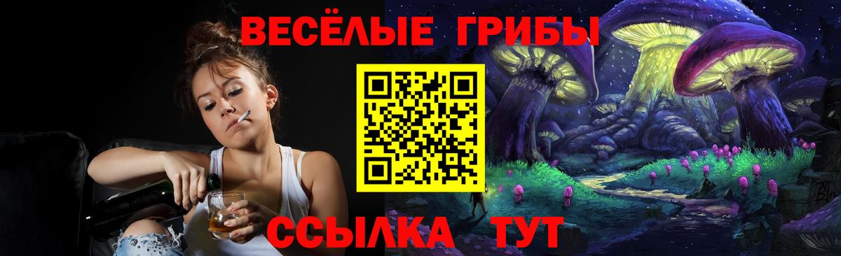 Галлюциногенные грибы Psilocybine cubensis  Вход с VPN  Каспийск 